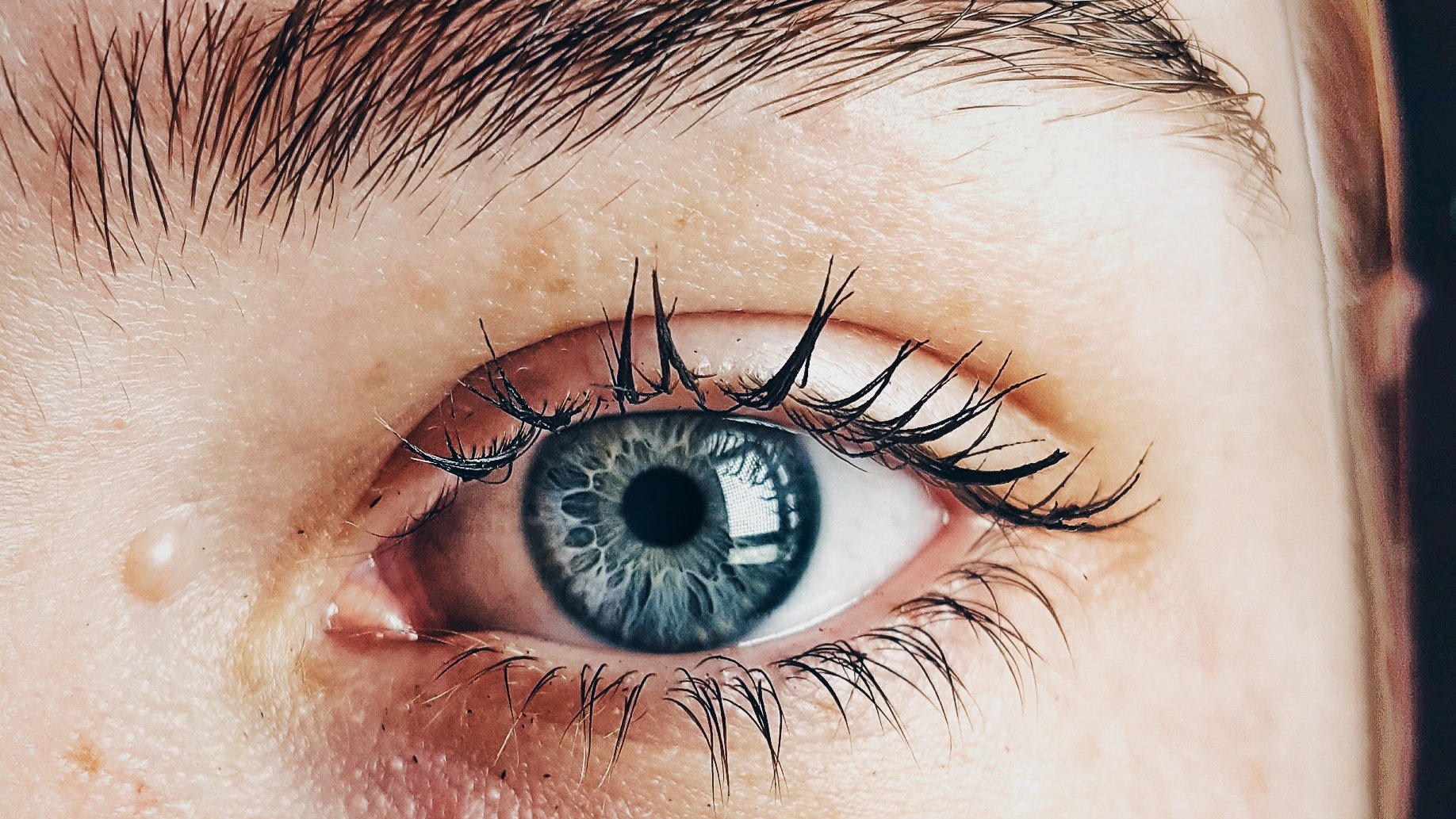 beautiful-blue-eyes-close-up-dhyamis-kleber-609549-2